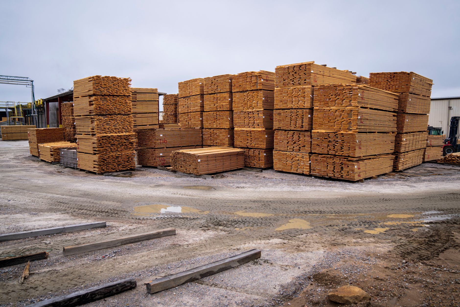 Proper Timber Storage: Preventing Warping and Rot