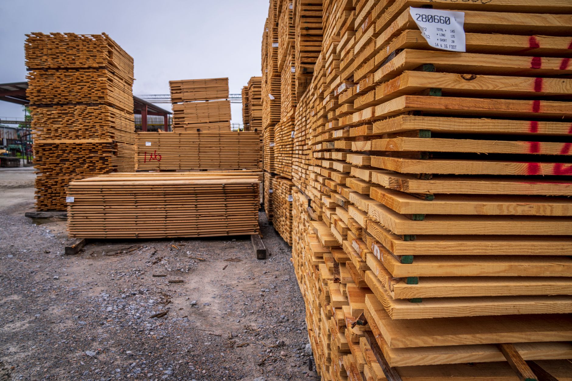 About BN Timber Limited