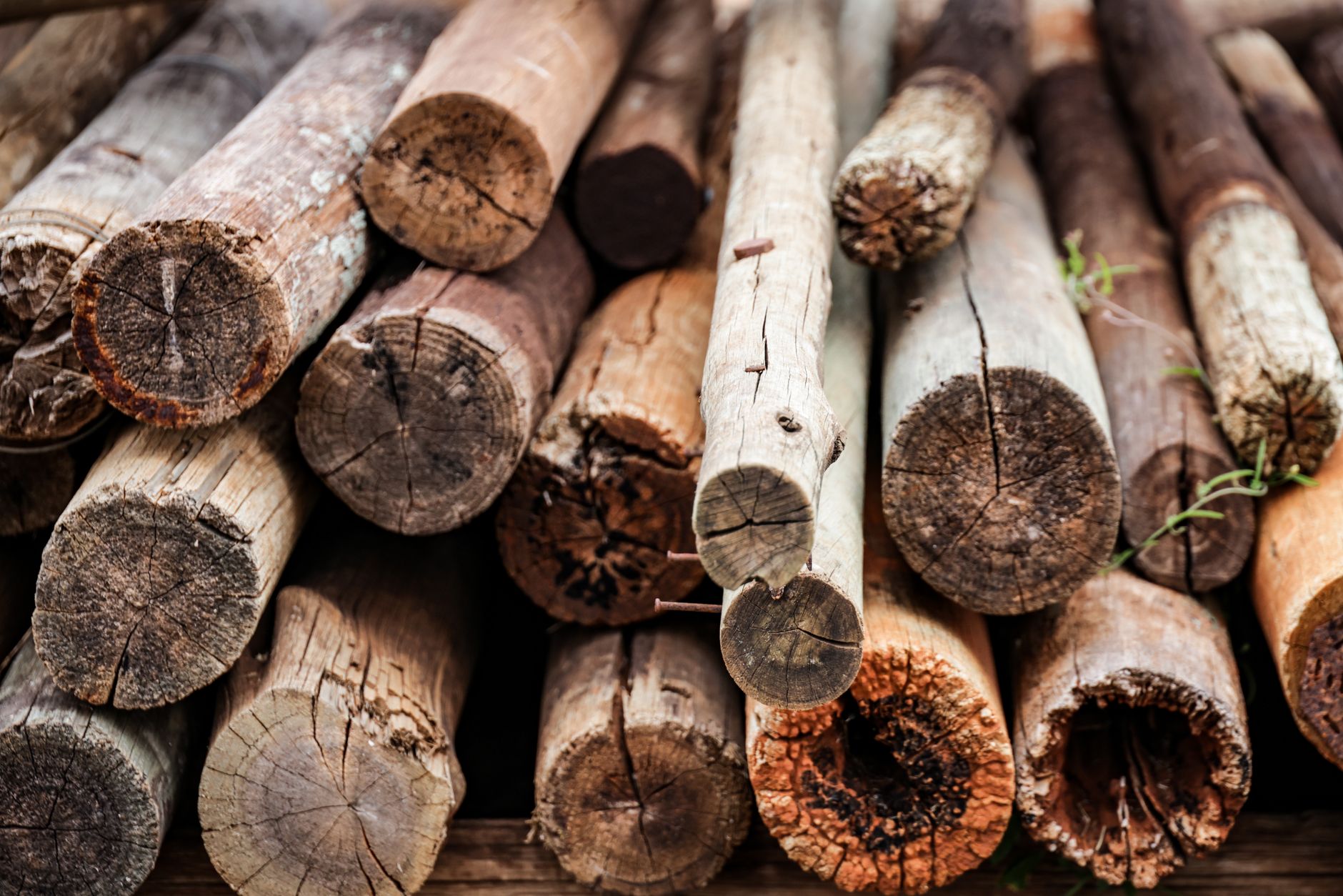 Wooden Poles & Posts