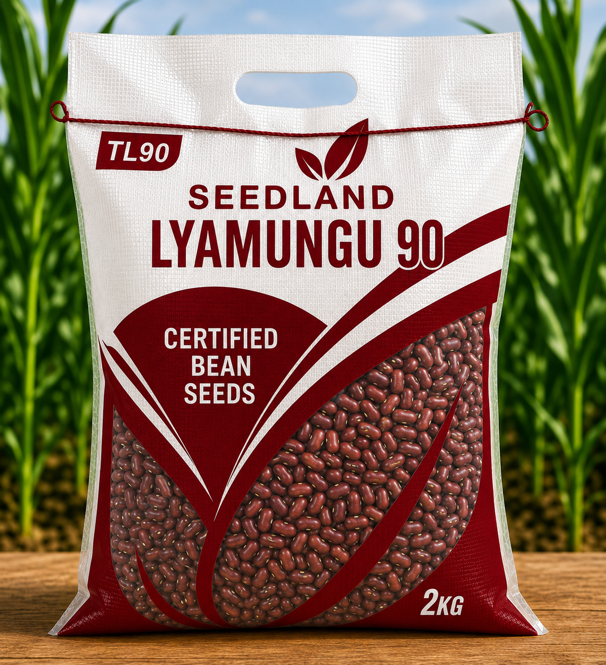 BEANS SEEDS (LYAMUNGU 90)