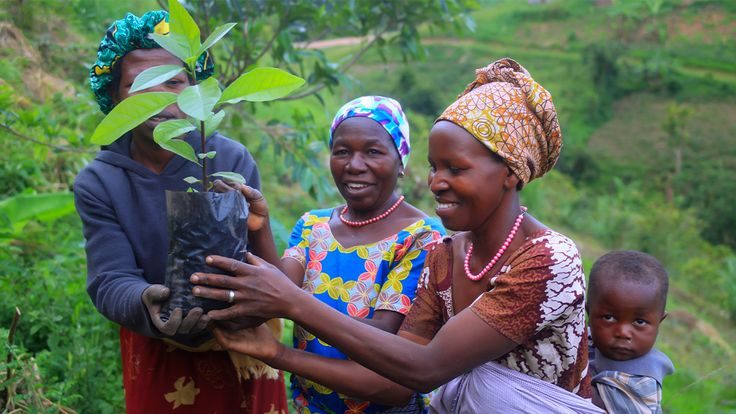Our Conservation Initiatives
