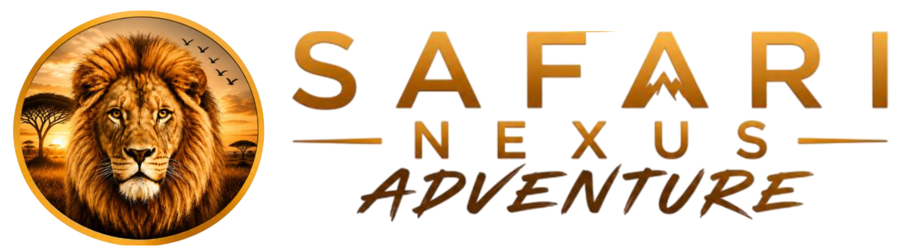 SAFARI NEXUS ADVENTURE