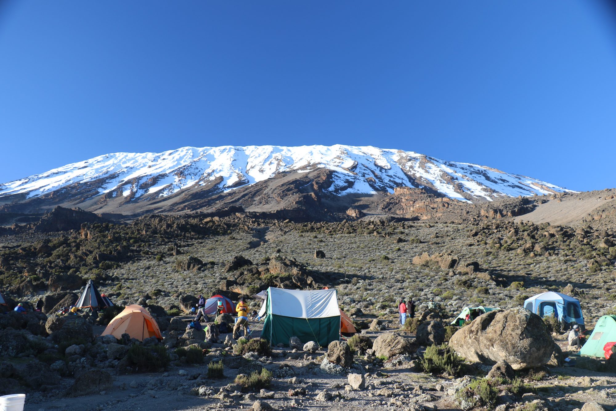 Budget vs Premium: Kilimanjaro Climb Cost Breakdown and Value Comparison