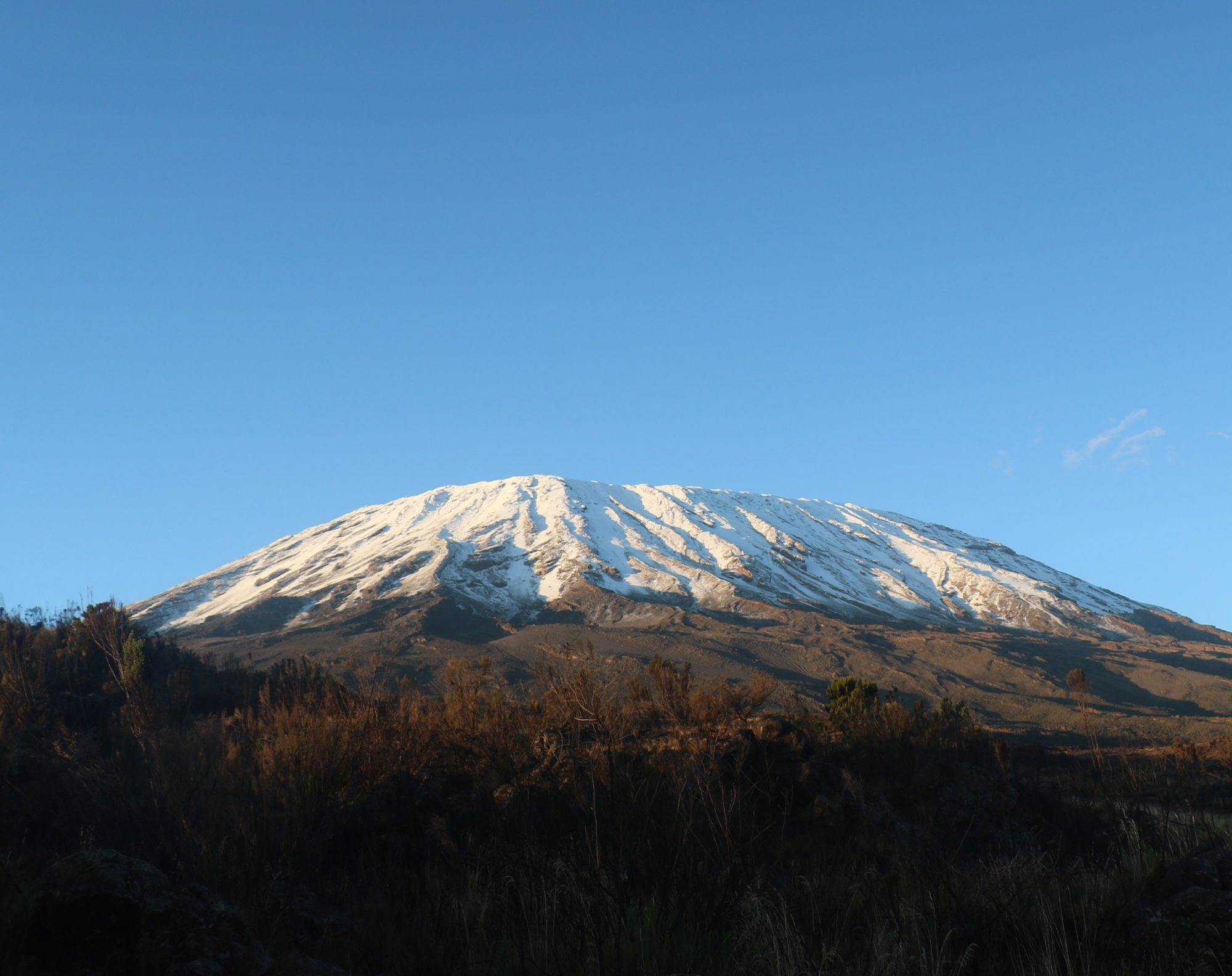 Kilimanjaro vs. Denali vs. Mount Elbrus: Which Peak Should You Climb?