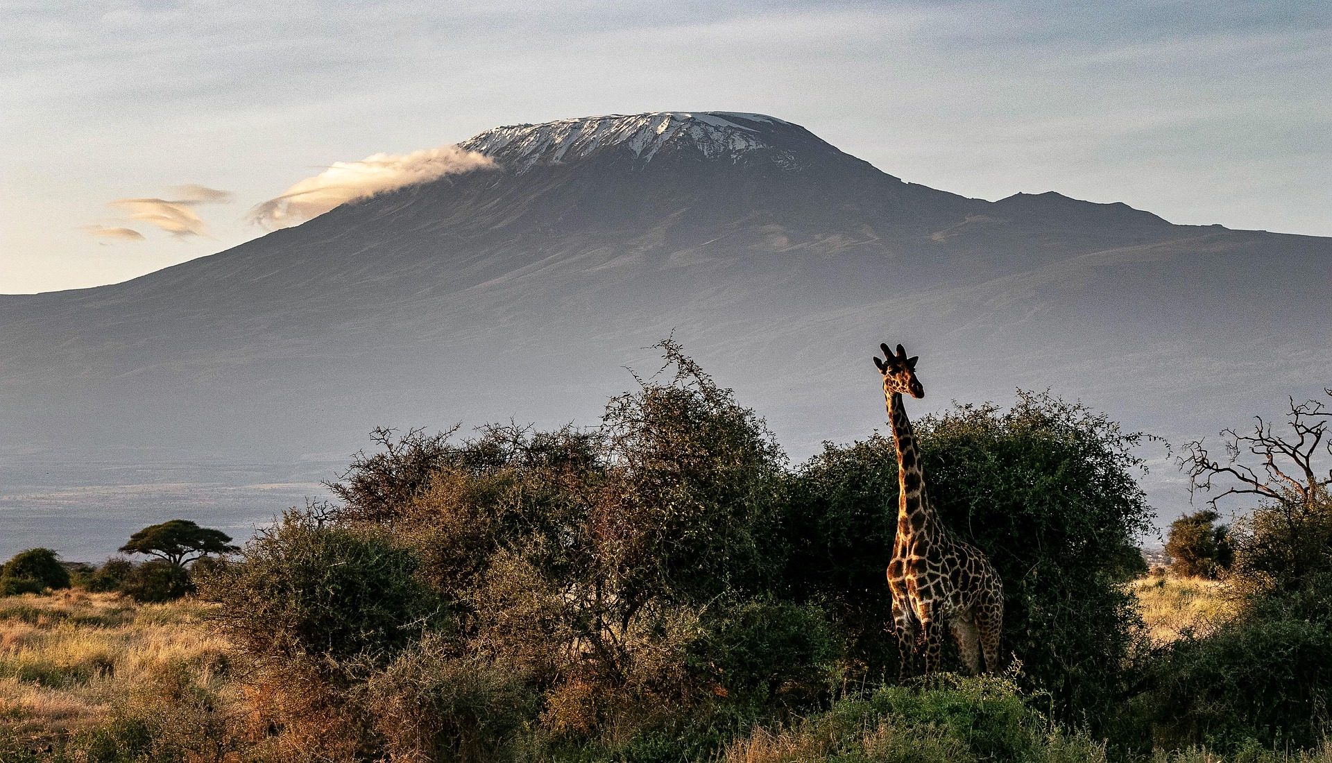 Best Time to Climb Kilimanjaro: A Month by Month Guide