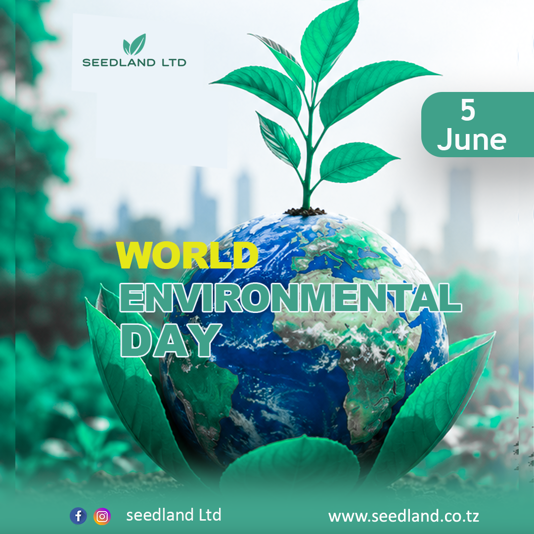 Happy World Environment Day!