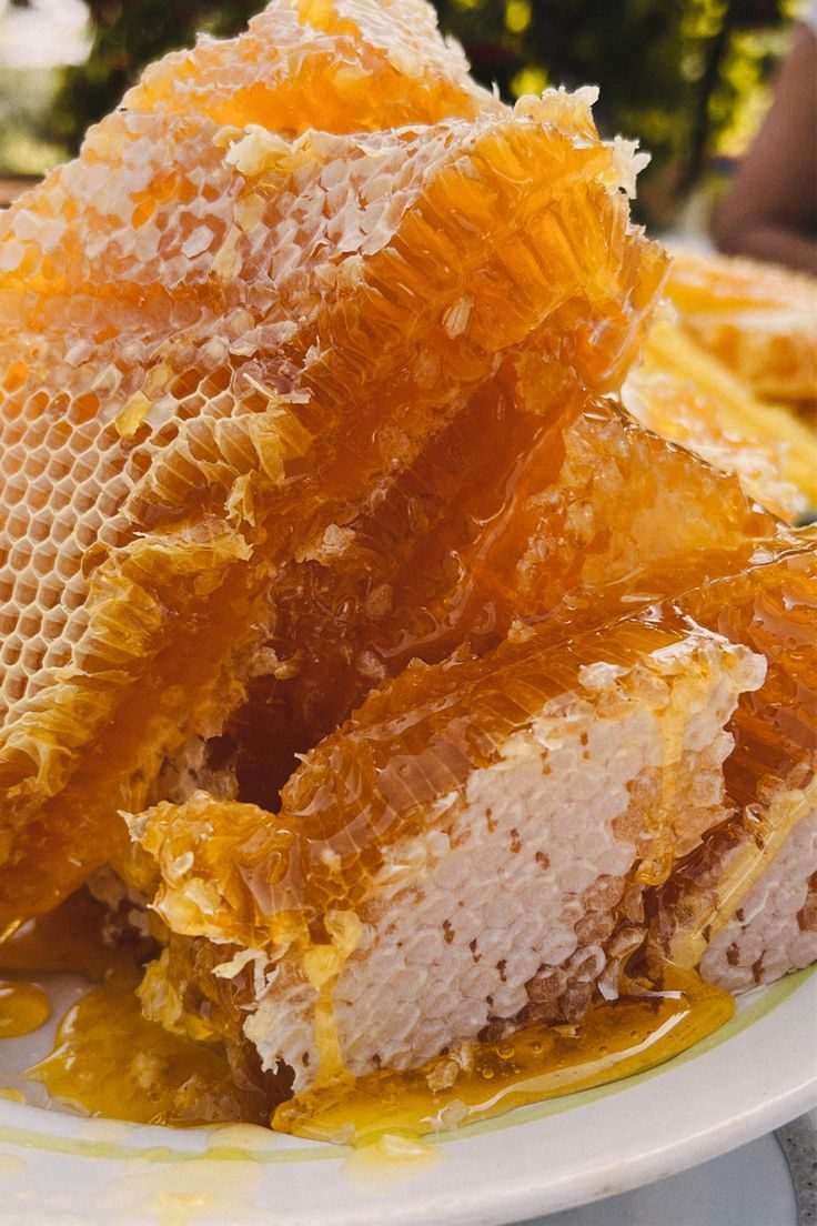 Fresh Natural Honeycombs
