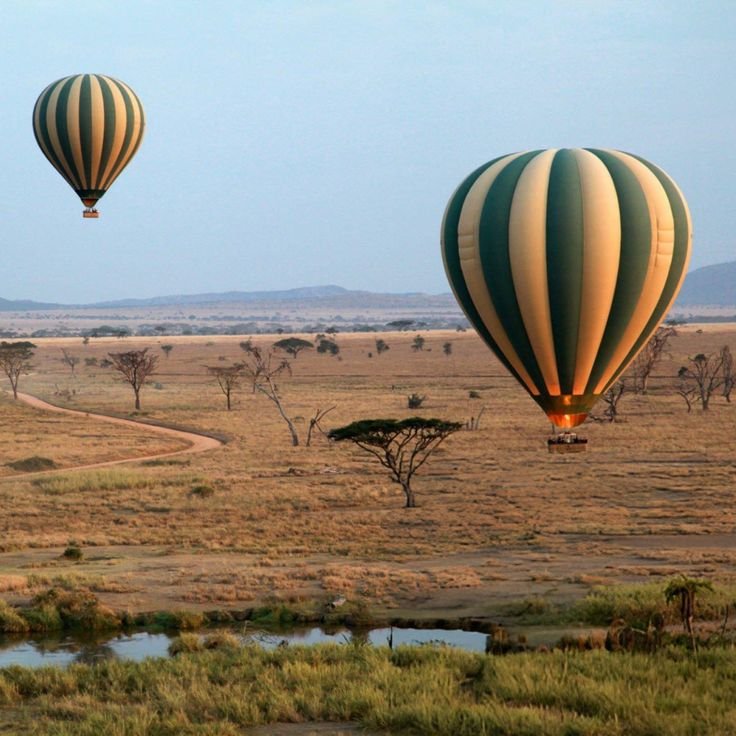 4-Day Balloon Experience & Wildlife Adventure