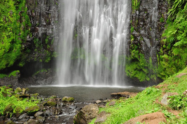 Materuni Waterfall & Coffee Farm Day Trip (From Arusha)