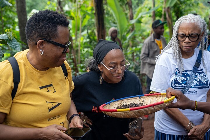 Organic Coffee Tour & Local Food Experience in Arusha
