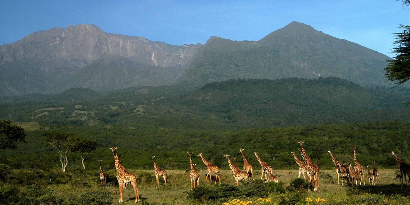 Arusha National Park Day Trip (From Arusha or Moshi)