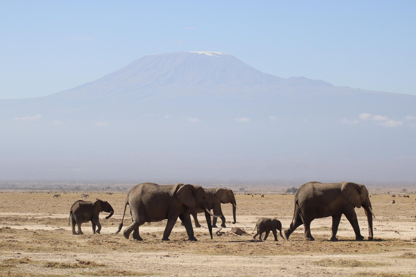 10-Day Kilimanjaro and Safari Adventure