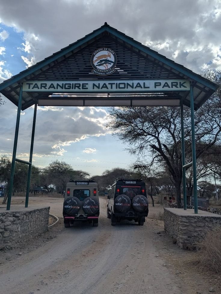 1-Day Tarangire National Park Safari