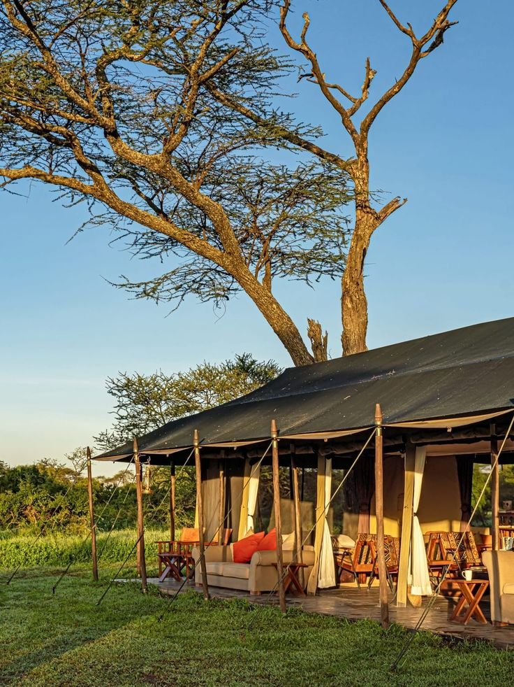 3-Day Serengeti and Ngorongoro Budget Camping Safari