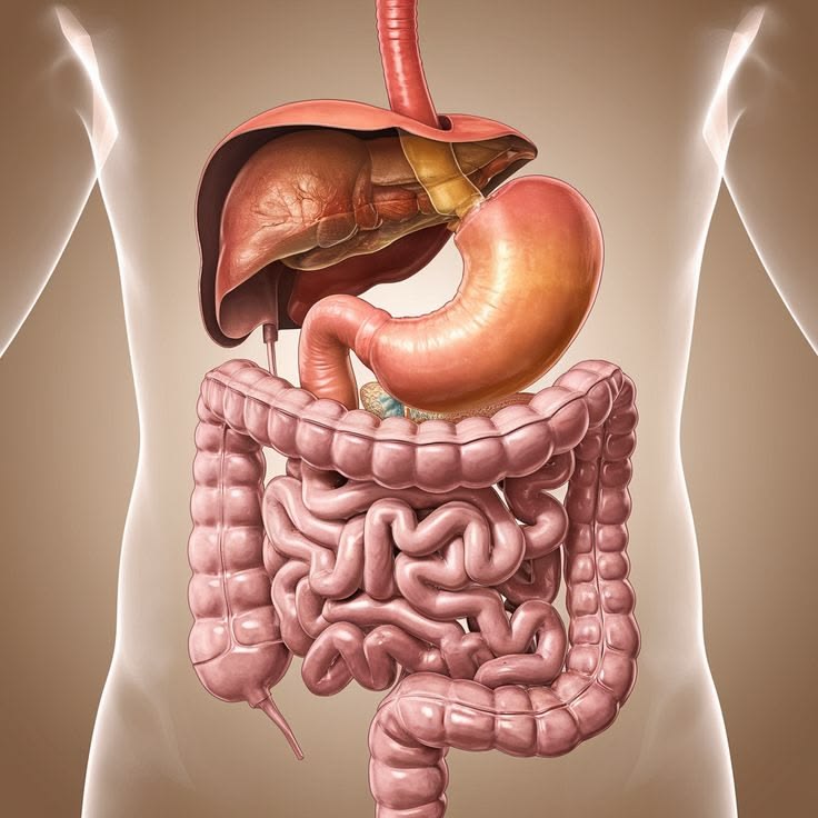 Digestive Honey